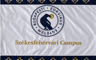 Hímzett egyetemi címeres zászló